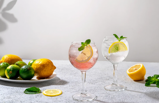 Descubre el arte del gin tonic perfecto con Gin Elemental