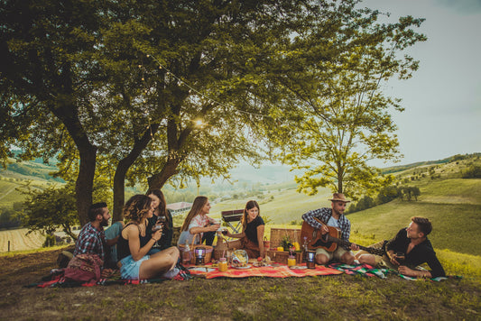 Parques en Santiago ideales para un picnic con Elemental