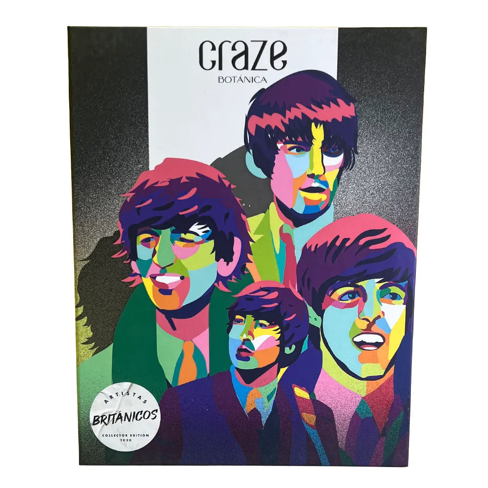 Craze Rock Book The Beatles