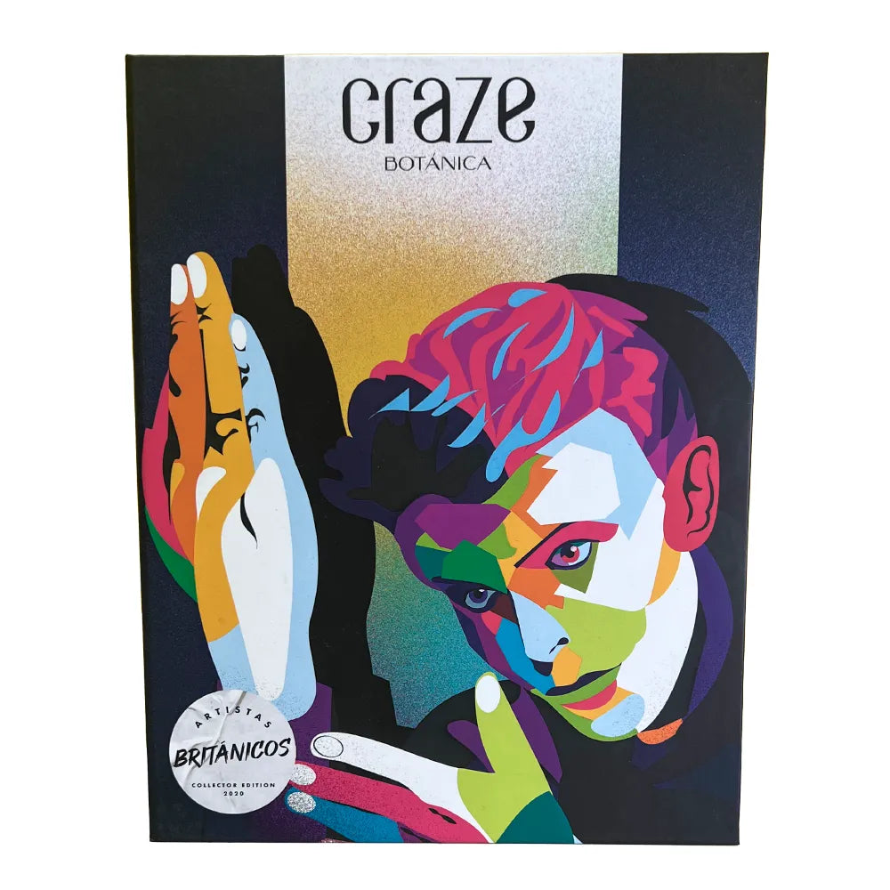 Craze Rock Book David Bowie