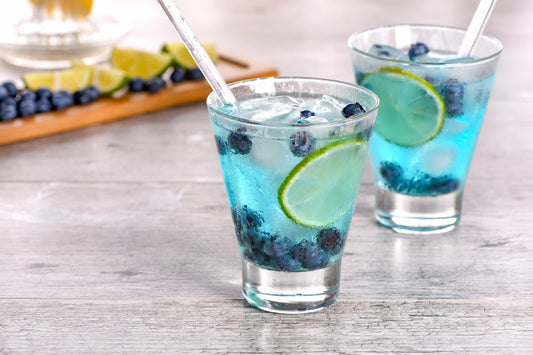 Gin Fizz con arándanos y Gin Elemental 45 servido en vaso alto con hielo, rodaja de limón y arándanos frescos, un cóctel refrescante y frutal chileno.