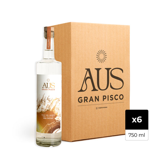 Caja de 6 botellas Pisco Aus