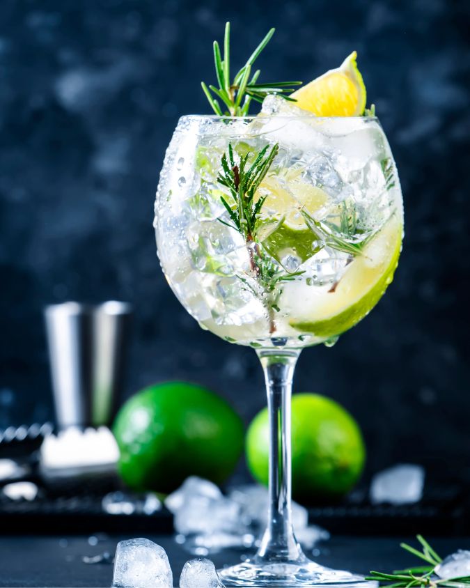 Gin Tonic - Tragos con Gin Elemental